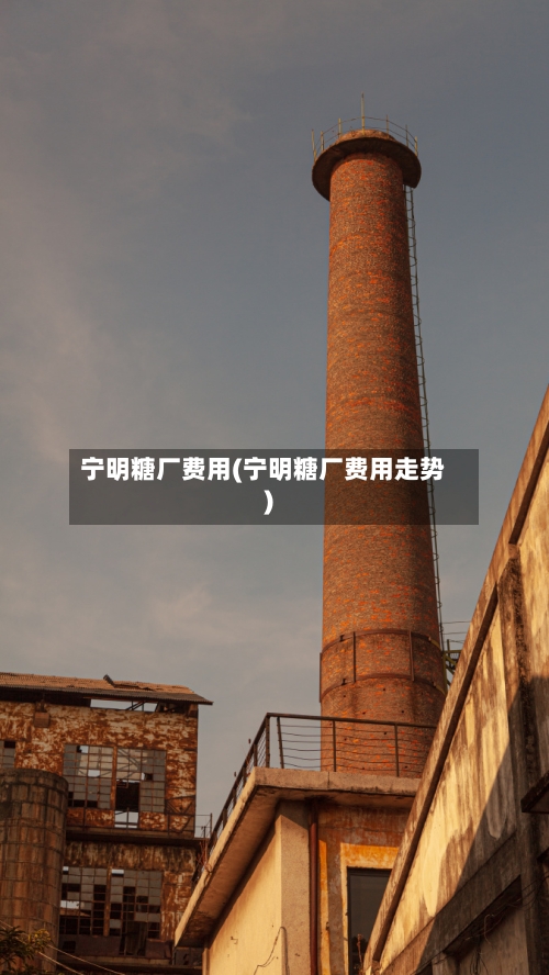 宁明糖厂费用(宁明糖厂费用走势)-第3张图片