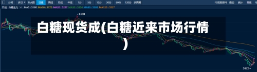 白糖现货成(白糖近来市场行情)