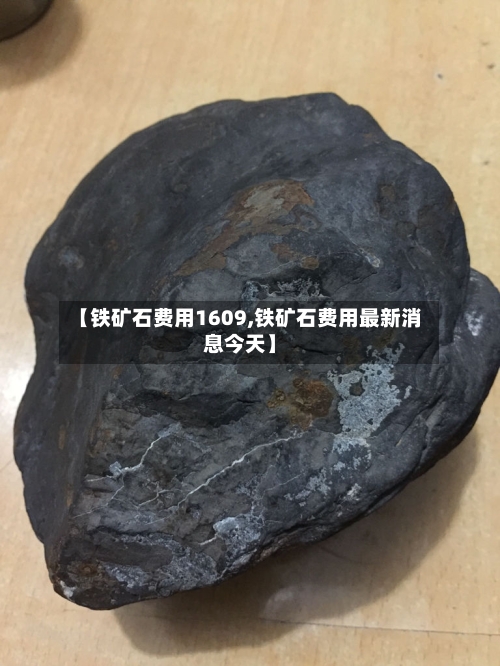 【铁矿石费用1609,铁矿石费用最新消息今天】-第2张图片