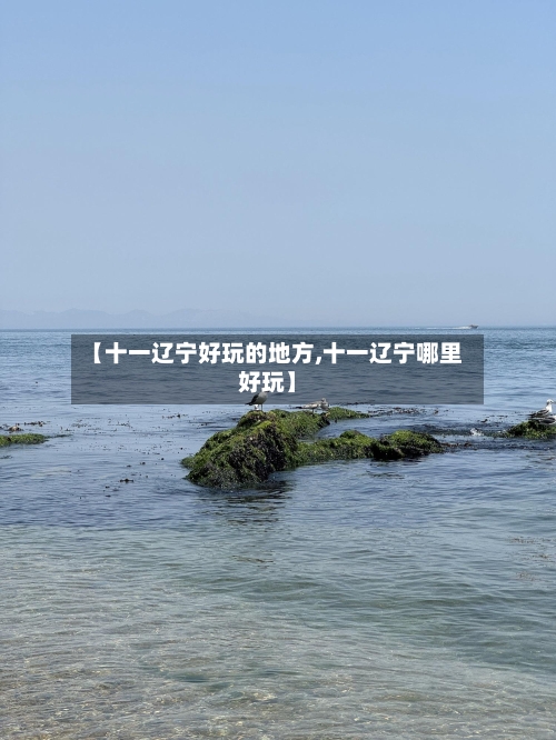 【十一辽宁好玩的地方,十一辽宁哪里好玩】-第2张图片