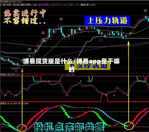 博易现货版是什么/博易app是干嘛的