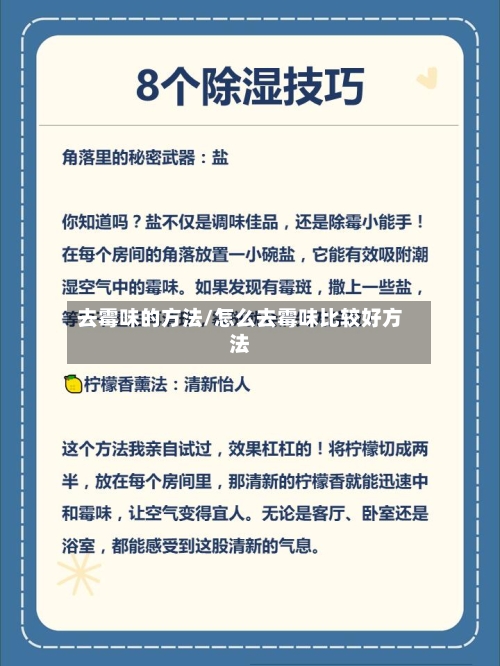 去霉味的方法/怎么去霉味比较好方法
