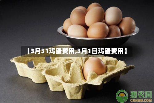 【3月31鸡蛋费用,3月1日鸡蛋费用】-第3张图片