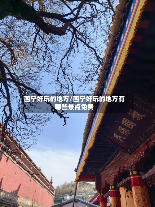 西宁好玩的地方/西宁好玩的地方有哪些景点免费