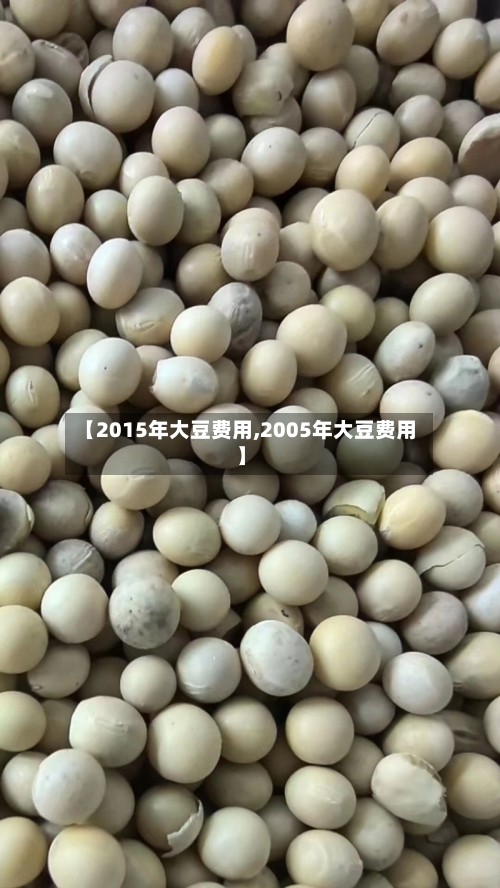 【2015年大豆费用,2005年大豆费用】