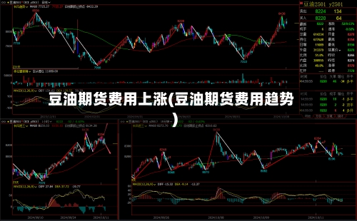 豆油期货费用上涨(豆油期货费用趋势)-第2张图片