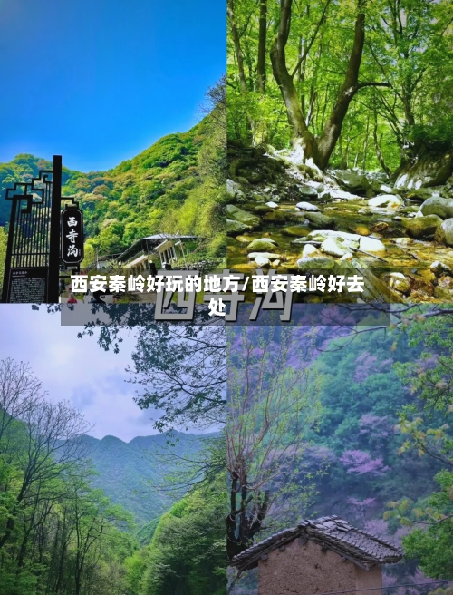 西安秦岭好玩的地方/西安秦岭好去处