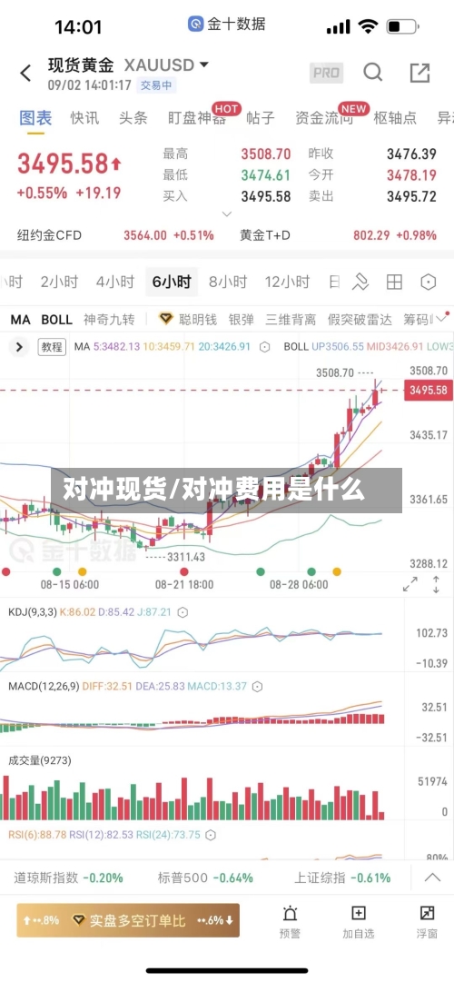 对冲现货/对冲费用是什么-第2张图片