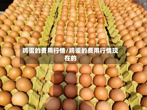 鸡蛋的费用行情/鸡蛋的费用行情现在的
