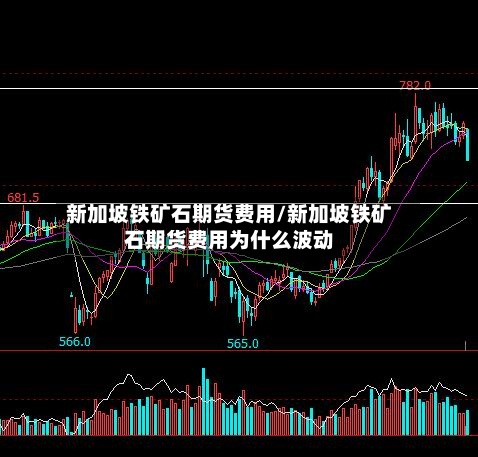 新加坡铁矿石期货费用/新加坡铁矿石期货费用为什么波动-第2张图片