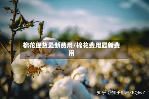 棉花现货最新费用/棉花费用最新费用-第2张图片