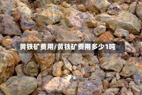 黄铁矿费用/黄铁矿费用多少1吨