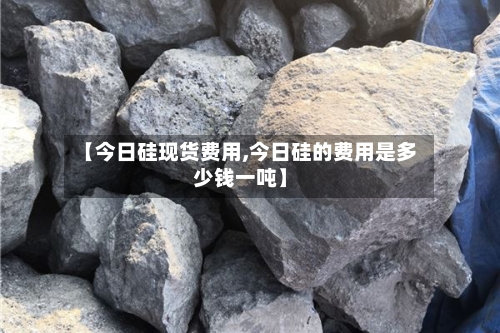 【今日硅现货费用,今日硅的费用是多少钱一吨】