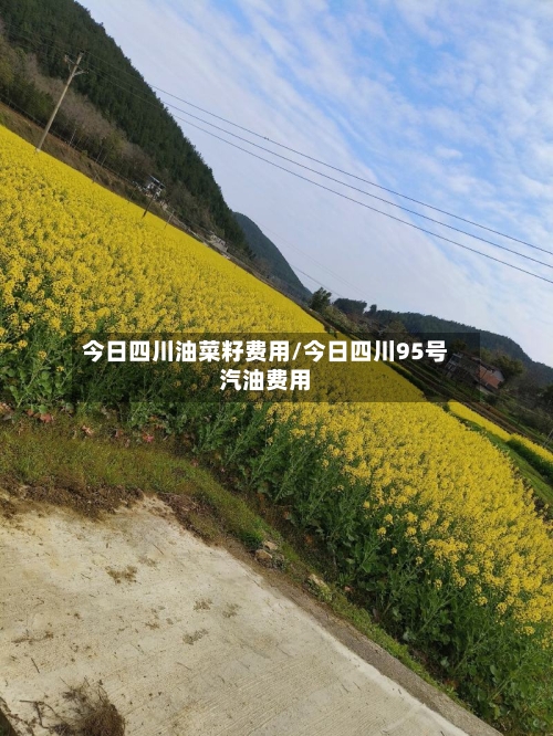 今日四川油菜籽费用/今日四川95号汽油费用-第3张图片