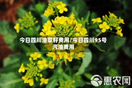 今日四川油菜籽费用/今日四川95号汽油费用-第2张图片