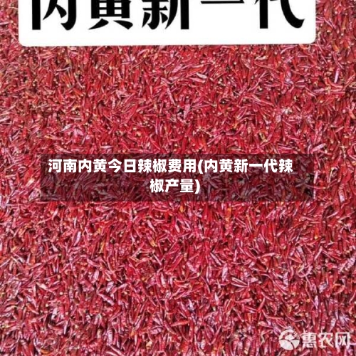 河南内黄今日辣椒费用(内黄新一代辣椒产量)