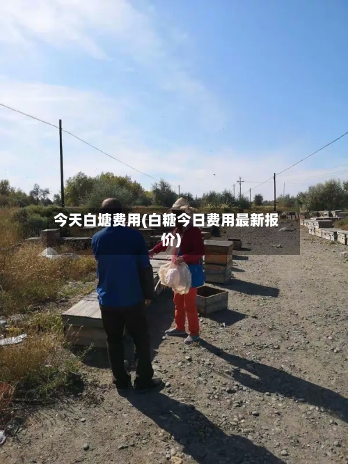 今天白塘费用(白糖今日费用最新报价)-第2张图片