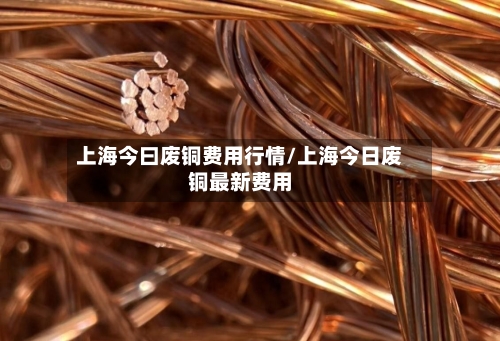 上海今曰废铜费用行情/上海今日废铜最新费用-第2张图片