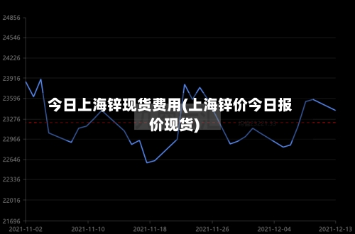 今日上海锌现货费用(上海锌价今日报价现货)-第3张图片