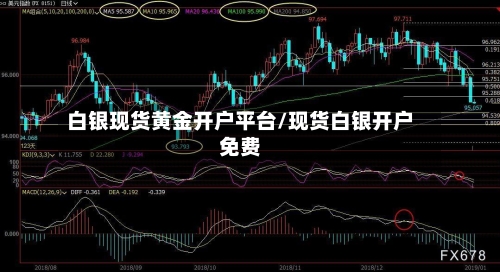 白银现货黄金开户平台/现货白银开户免费