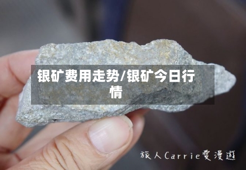 银矿费用走势/银矿今日行情-第2张图片