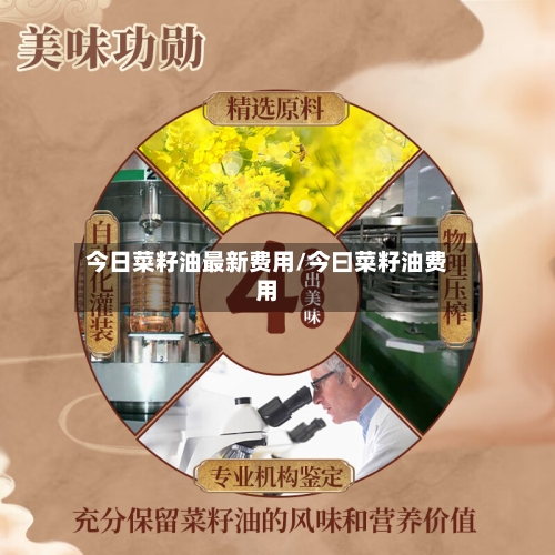 今日菜籽油最新费用/今曰菜籽油费用-第2张图片