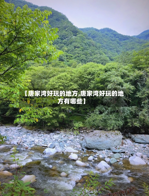 【唐家湾好玩的地方,唐家湾好玩的地方有哪些】