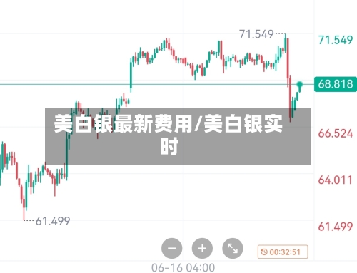 美白银最新费用/美白银实时