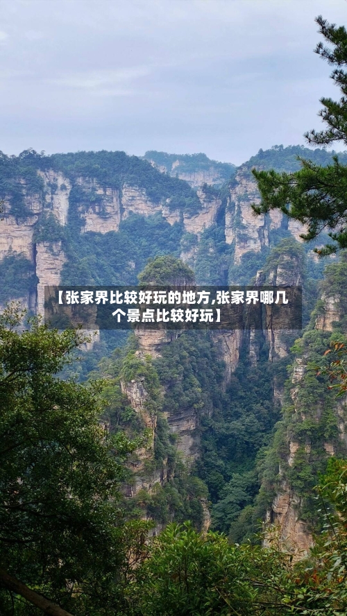【张家界比较好玩的地方,张家界哪几个景点比较好玩】