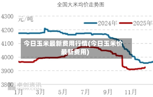 今日玉米最新费用行情(今日玉米价最新费用)-第2张图片