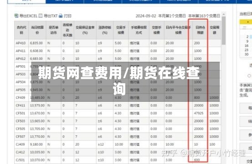 期货网查费用/期货在线查询-第3张图片