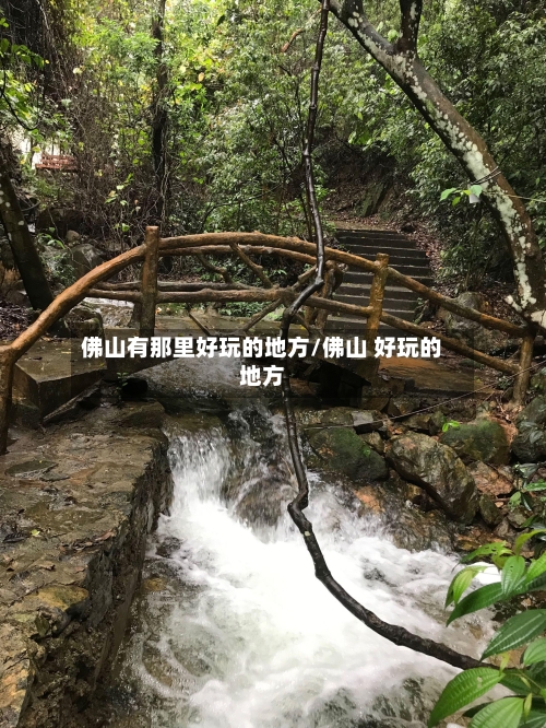 佛山有那里好玩的地方/佛山 好玩的地方-第2张图片