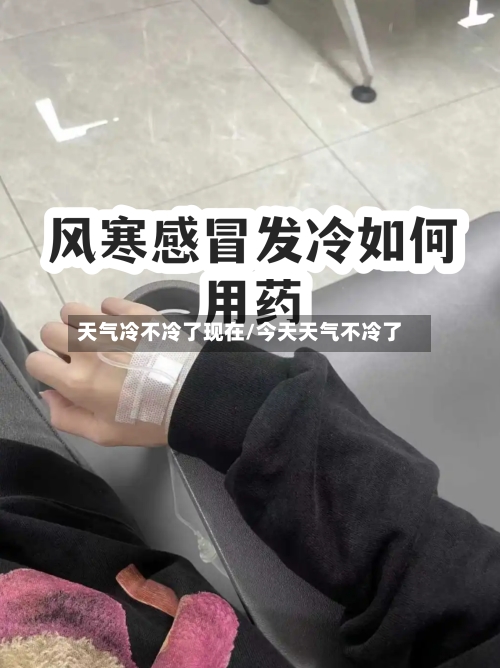 天气冷不冷了现在/今天天气不冷了-第3张图片