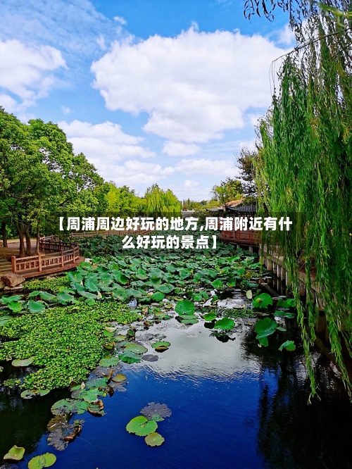 【周浦周边好玩的地方,周浦附近有什么好玩的景点】