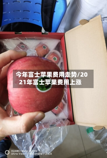 今年富士苹果费用走势/2021年富士苹果费用上涨-第2张图片