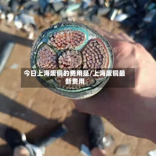 今日上海废铜的费用是/上海废铜最新费用
