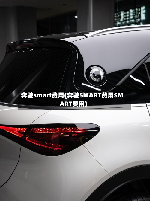 奔驰smart费用(奔驰SMART费用SMART费用)