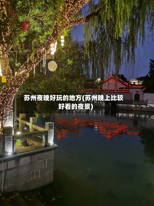 苏州夜晚好玩的地方(苏州晚上比较好看的夜景)
