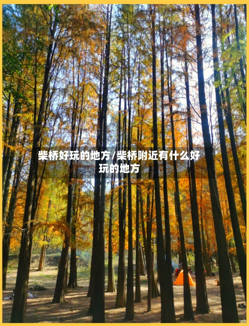柴桥好玩的地方/柴桥附近有什么好玩的地方