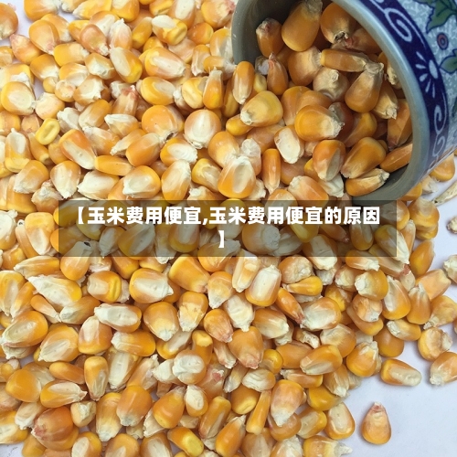 【玉米费用便宜,玉米费用便宜的原因】-第2张图片