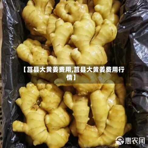 【莒县大黄姜费用,莒县大黄姜费用行情】-第3张图片