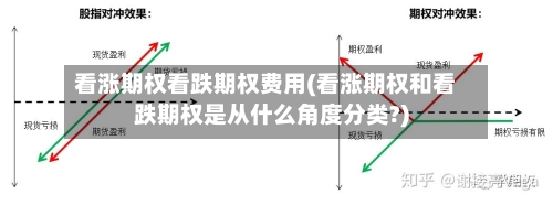 看涨期权看跌期权费用(看涨期权和看跌期权是从什么角度分类?)