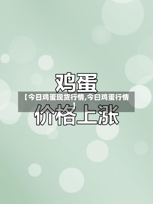 【今日鸡蛋现货行情,今曰鸡蛋行情】