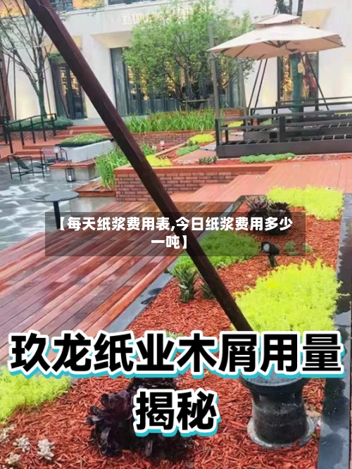 【每天纸浆费用表,今日纸浆费用多少一吨】