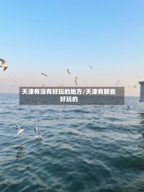 天津有没有好玩的地方/天津有那些好玩的-第2张图片