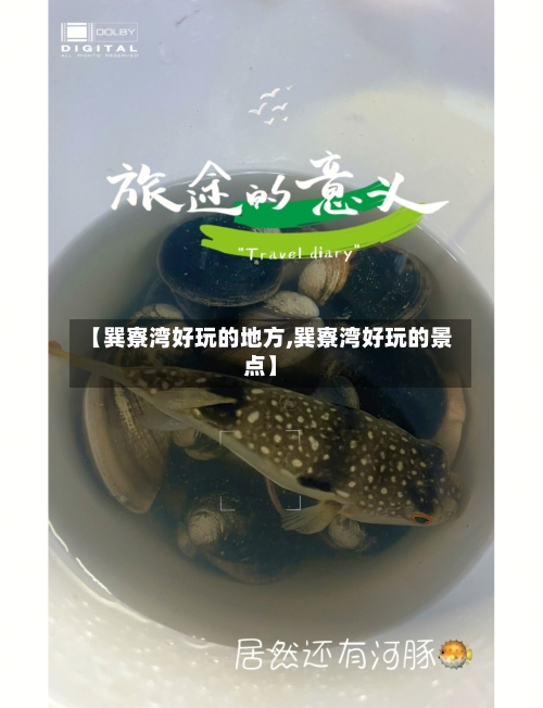 【巽寮湾好玩的地方,巽寮湾好玩的景点】-第2张图片