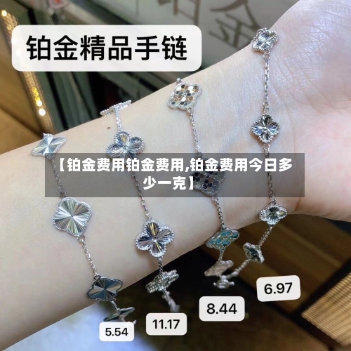 【铂金费用铂金费用,铂金费用今日多少一克】