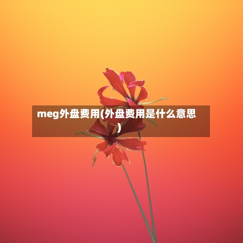 meg外盘费用(外盘费用是什么意思)