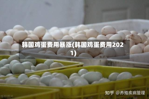 韩国鸡蛋费用暴涨(韩国鸡蛋费用2021)