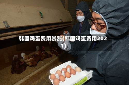 韩国鸡蛋费用暴涨(韩国鸡蛋费用2021)-第3张图片